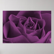 Lila Rosen-gotisches Plakat