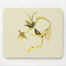 Lila Sunbird Mousepad