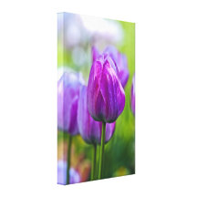 Lila Tulpen Galerie Gefaltete Leinwand