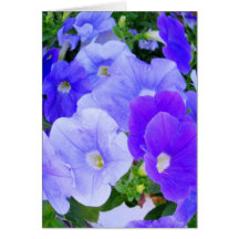 Lila und blaue Karte
