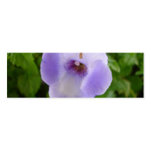 Lila und weißes Blumen-Lesezeichen Visitenkarte