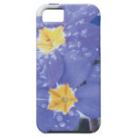 Lila Winterblühender Pansy iPhone 5 Etui