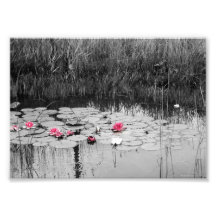 Lilien-Auflagen Photodruck
