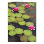 Lilien-Auflagen und Lotus-Zen-Geburtstags-Karte