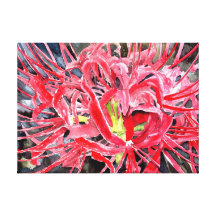 Lilien-Blume der roten Spinne Gespannte Galeriedrucke