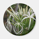 Lilien-Magnet der Königin-Emma Kühlschrankmagnet