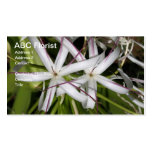 Lilien-Visitenkarten der Königin-Emma