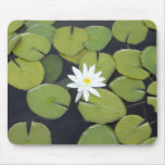 Lilienauflage mit mousepads