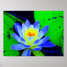 LiLLy Plakatdruck