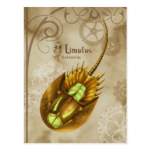 Limulus Submarine Postkarten