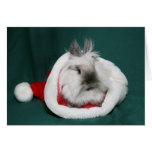 Lionhead Häschen Sankt Karte