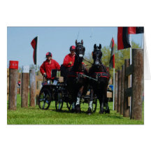 Liveeiche cde grußkarte