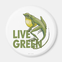 Livegrün Magnete
