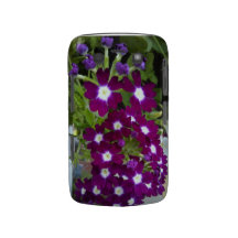 Lobelia-Blumen-Fall für das BlackBerry mutig Blackberry Bold Cover