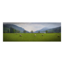 Loch Oich Schafe Foto Drucke