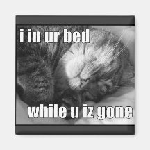 LOLCat 1 Kühlschrankmagnet
