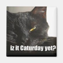 LOLCat 2 Magnets