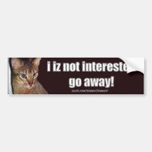 LOLCat 3 Autoaufkleber