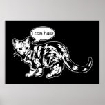 lolcat - ich kann habe? plakat
