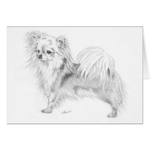 Longcoat Chihuahua - stehend Grußkarten