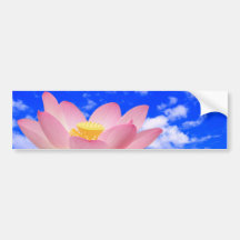 Lotos-Blume geboren im Wasser Auto Sticker