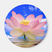 Lotos-Blume geboren im Wasser Magnete