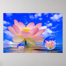 Lotos-Blume geboren im Wasser Plakatdruck