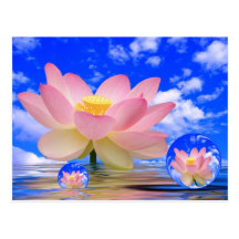 Lotos-Blume geboren im Wasser Postkarten