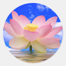 Lotos-Blume geboren im Wasser Sticker