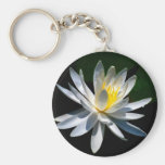 Lotos-Blume oder Wasserlilie und Bedeutung Schlüsselbänder