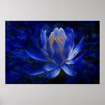 Lotos-Blume und seine Bedeutung Plakatdruck