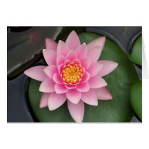 Lotus-Blüte #1 Karte
