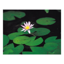Lotus Personalisierte Einladung