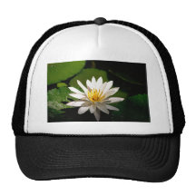 Lotus Truckermützen