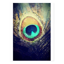 Love2Snap Pfau-Feder Postkarte