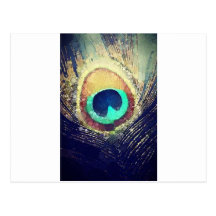 Love2Snap Pfau-Feder Postkarte