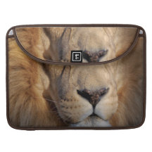 Löwe-Bilder 15" MacBook-Hülse Sleeve Für MacBooks