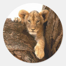 Löwe CUB Runder Sticker