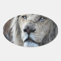 Löwe hört zu meinem Herzschlag Aufkleber