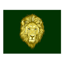 Löwe lion postkarten