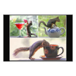 Lustige Eichhörnchen-Bild-Collage Photo Drucke