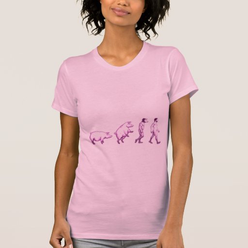 Lustige Evolution T Shirts