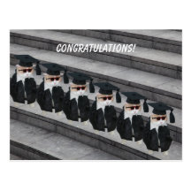 Lustige graduierte Katze Postkarte