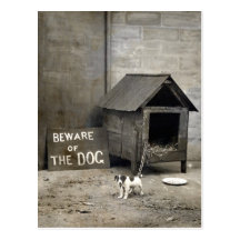 Lustige Hundpostards Postkarte