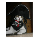 Lustige Piraten-Katze Postkarte