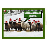 Lustiger Bah Humbug Grußkarten