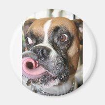 Lustiger Boxer-Hund Kühlschrankmagnet