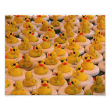 Lustiger gelber Druck der Gummi-Enten-10x8 Photodrucke