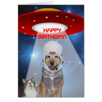 Lustiger Raum-Thema-, Hunde-u. Katzen-Geburtstag karten