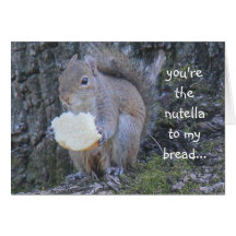 Lustiges Eichhörnchen, nutella zu meinem Brot, ver